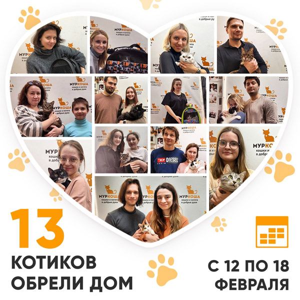 Итоги работы Центра с 12 по 18 февраля 2024г. 