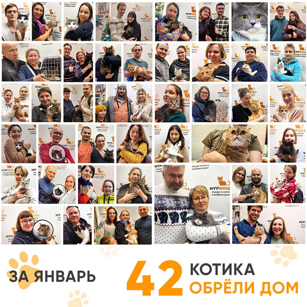 Итоги работы Центра в январе 2024 года.