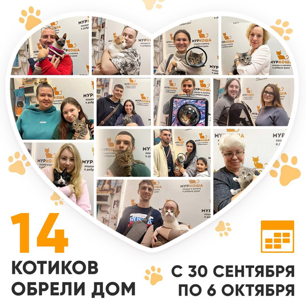 Итоги работы Центра с 30 сентября по 6 октября 2024г.
