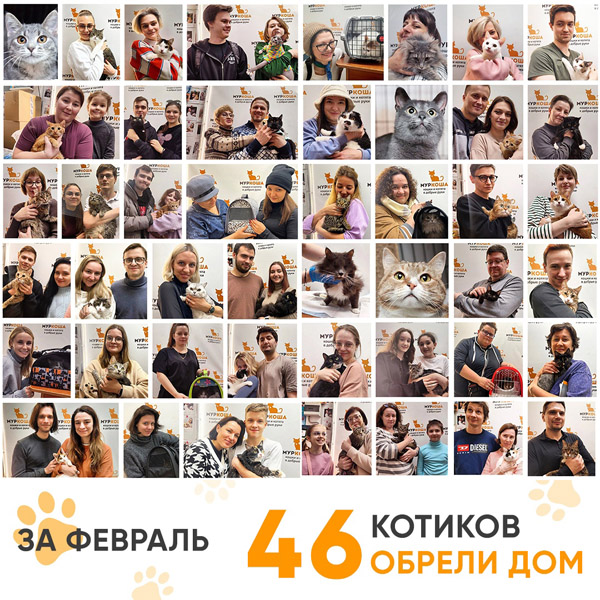 Итоги работы Центра в феврале 2024 года.