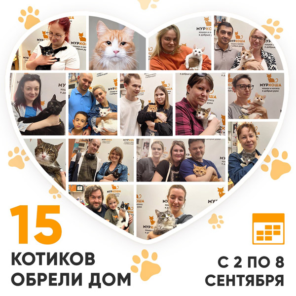 Итоги работы Центра со 2 по 8 сентября 2024г.