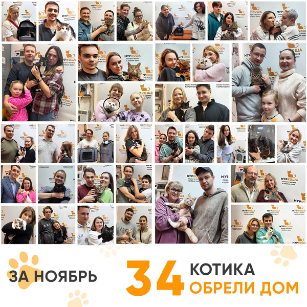 Итоги работы Центра в ноябре 2025 года.