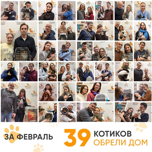 Итоги работы Центра в феврале 2025 года.
