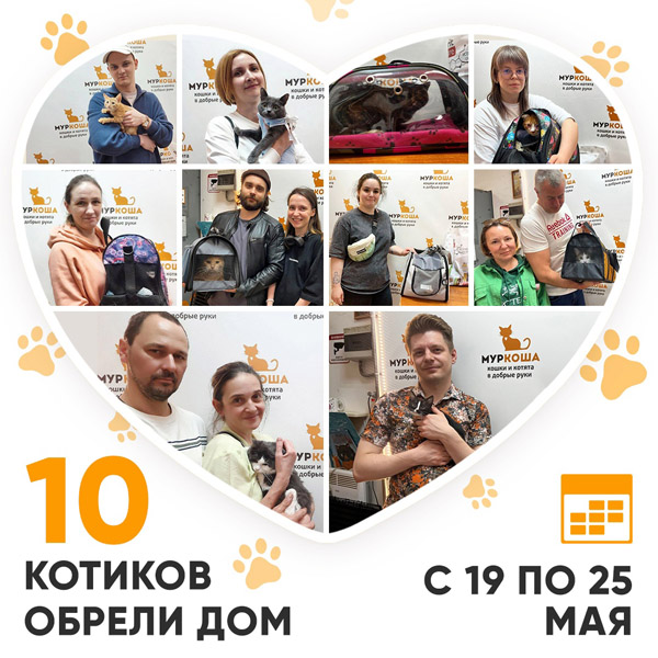 Итоги работы Центра с 19 по 25 мая 2025г.