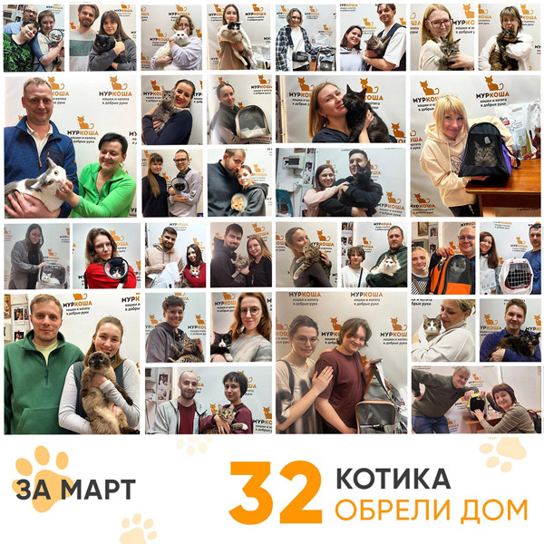 Итоги работы Центра в марте 2025 года.
