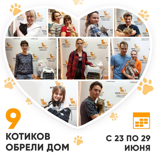 Итоги работы Центра с 23 по 29 июня 2025г.