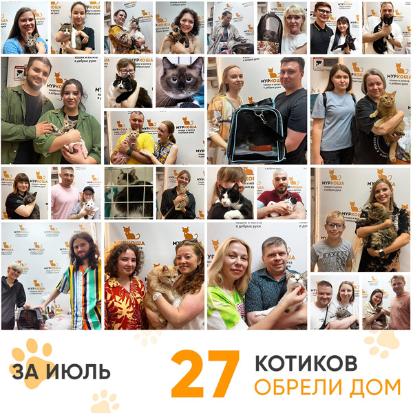 Итоги работы Центра в июле 2025 года.