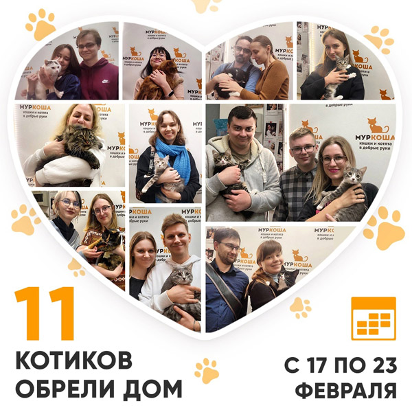 Итоги работы Центра с 17 по 23 февраля 2025г.