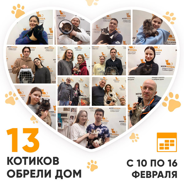 Итоги работы Центра с 10 по 16 февраля 2025г. 