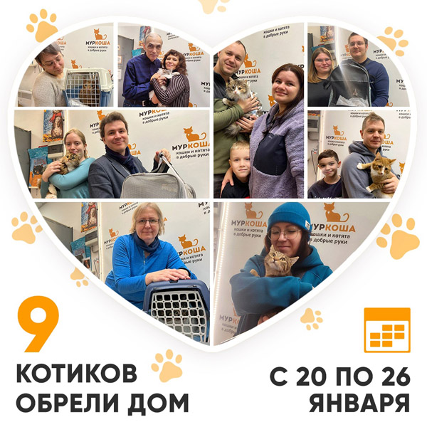 Итоги работы Центра с 20 по 26 января 2025г. 
