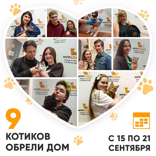 Итоги работы Центра с 15 по 21 сентября 2025г.