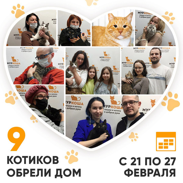 Итоги работы Adoption центра с 21 по 27 февраля 2022г.