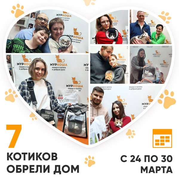 Итоги работы Центра с 24 по 30 марта 2025г.
