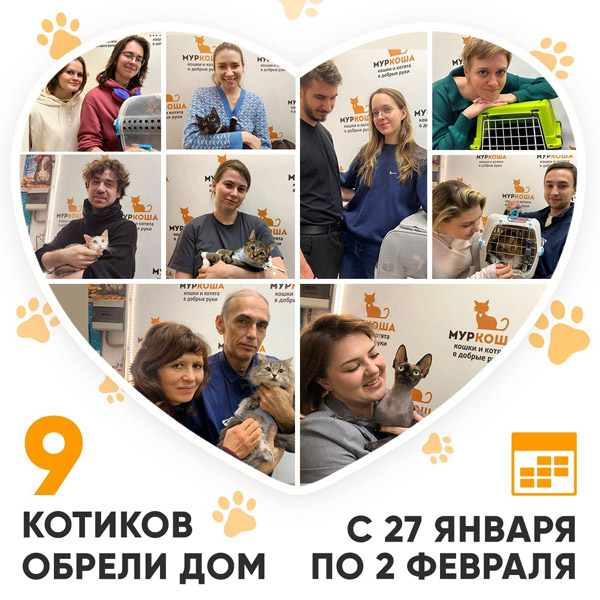 Итоги работы Центра с 27 января по 2 февраля 2025г.