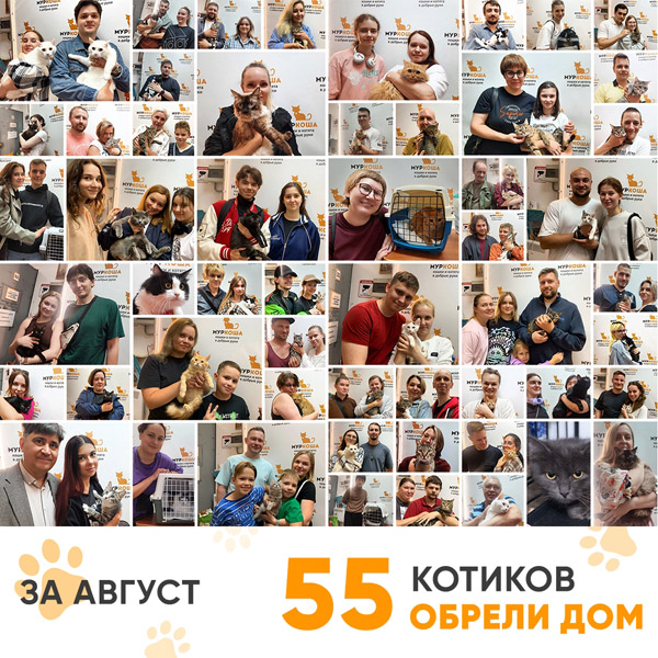 Итоги работы Центра в августе 2025 года.