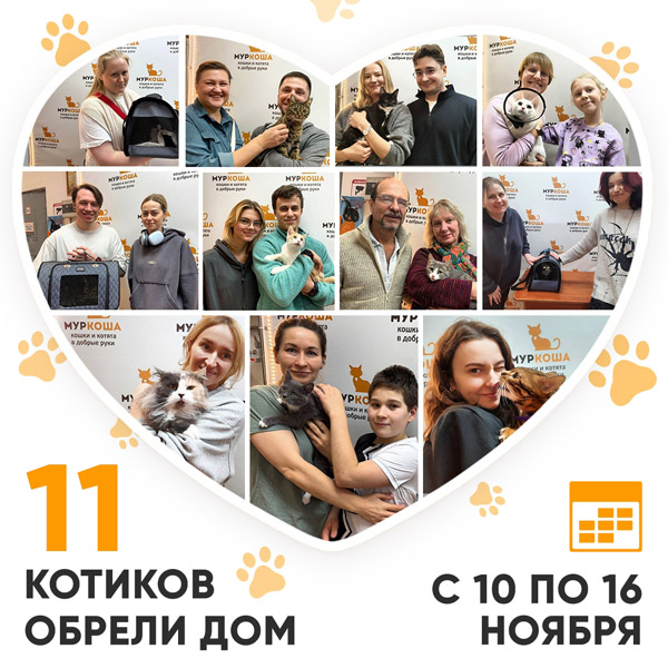Итоги работы Центра с 10 по 16 ноября 2025г. 