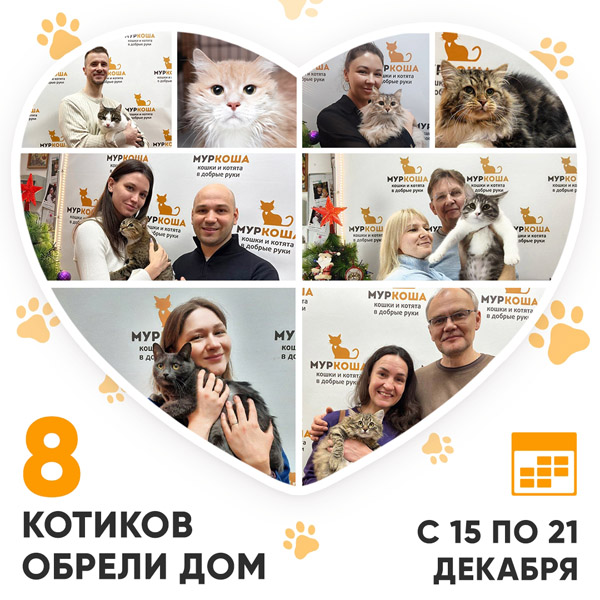 Итоги работы Центра с 15 по 21 декабря 2025г.