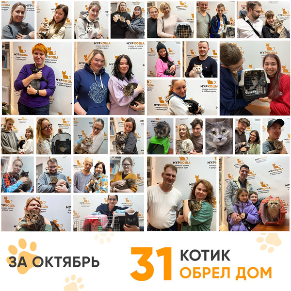 Итоги работы нашего Центра в октябре 2025 года.