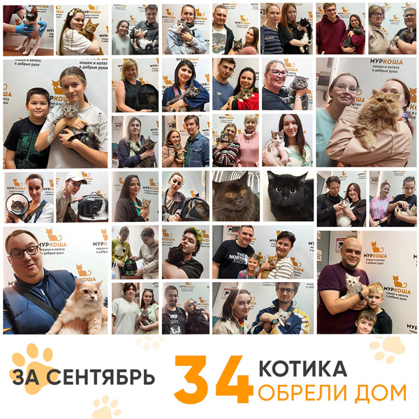Итоги работы Центра в сентябре 2025 года.