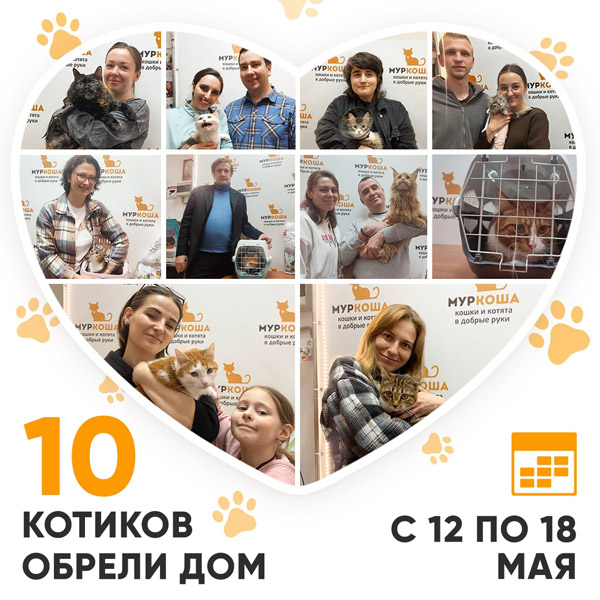 Итоги работы Центра с 12 по 18 мая 2025г.