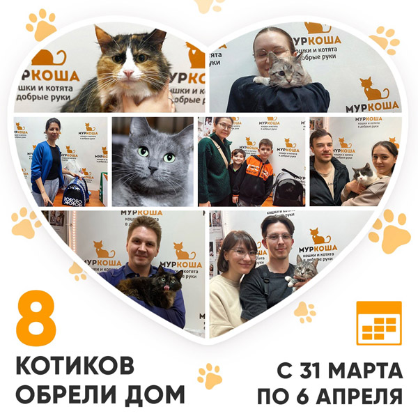 Итоги работы Центра с 31 марта по 6 апреля 2025г.