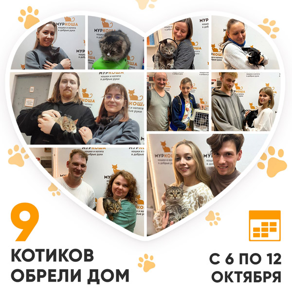 Итоги работы Центра с 6 по 12 октября 2025г.