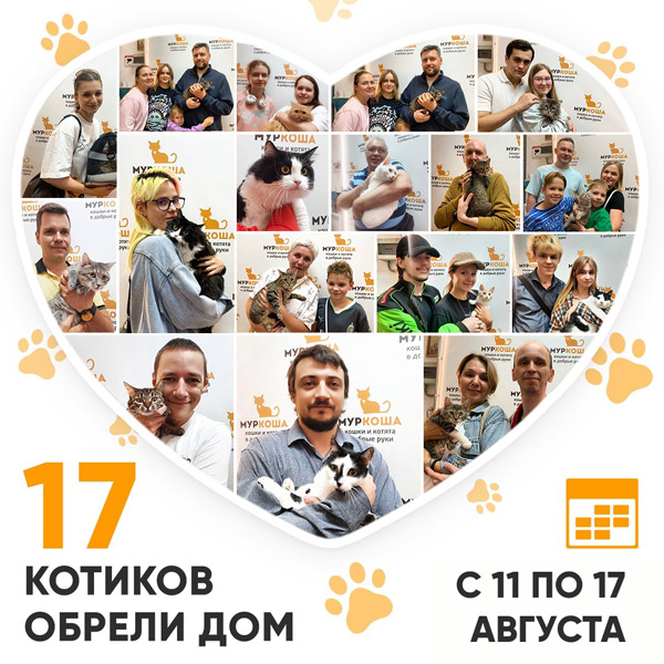 Итоги работы Центра с 11 по 17 августа 2025г.