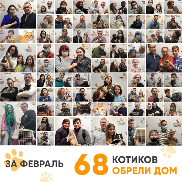 Итоги работы Adoption центра в феврале 2022г.