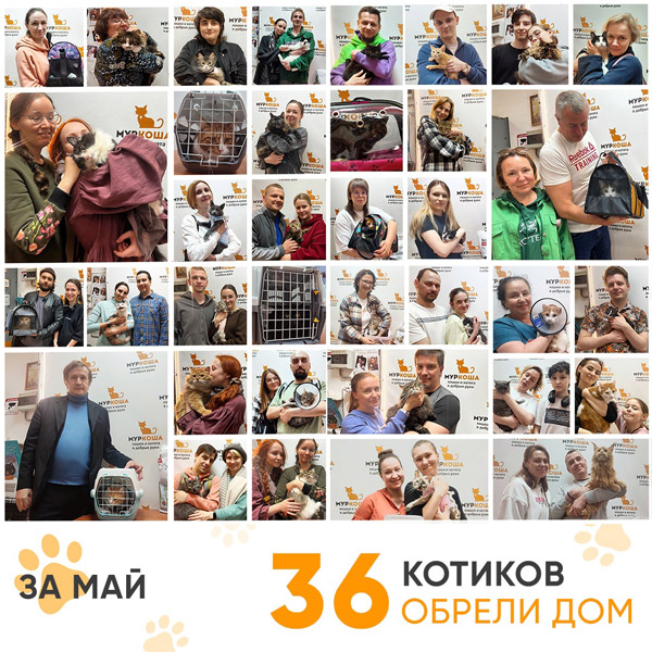 Итоги работы Центра в мае 2025 года. 