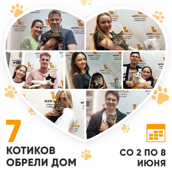 Итоги работы Центра с 2 по 8 июня 2025г.
