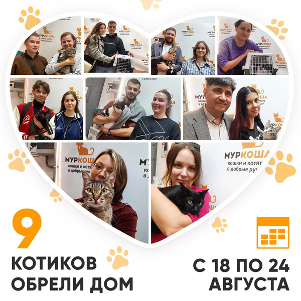 Итоги работы Центра с 18 по 24 августа 2025г.
