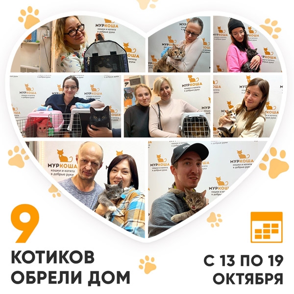 Итоги работы Центра с 13 по 19 октября 2025г. 