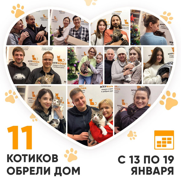 Итоги работы Центра с 13 по 19 января 2025г.
