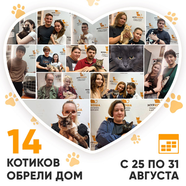 Итоги работы Центра с 25 по 31 августа 2025г. 