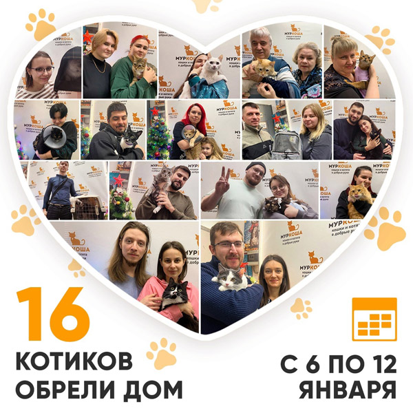 Итоги работы Центра с 6 по 12 января 2025г.