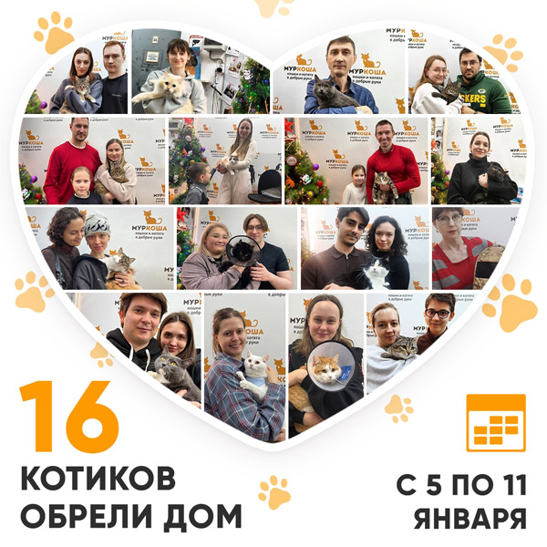 Итоги работы Центра с 5 по 11 января 2026г. 