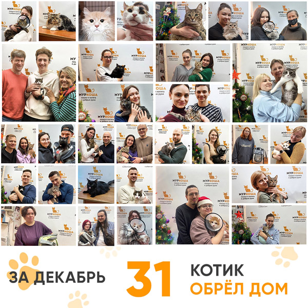 Итоги работы Центра в декабре 2025 года. 