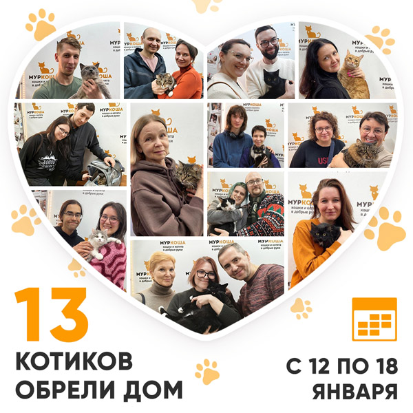 Итоги работы Центра с 12 по 18 января 2026г. 