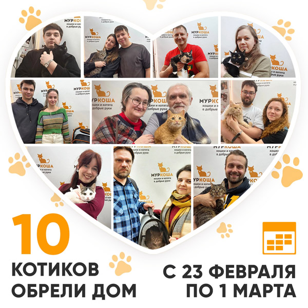 Итоги работы Центра с 23 февраля по 1 марта 2026г.