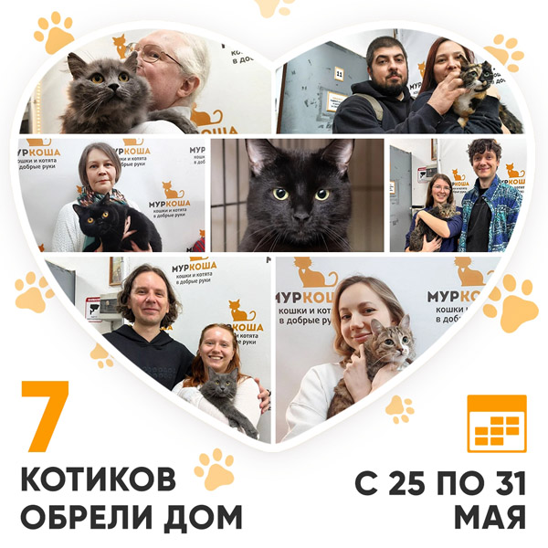 Итоги работы Центра с 25 по 31 мая 2026г. 