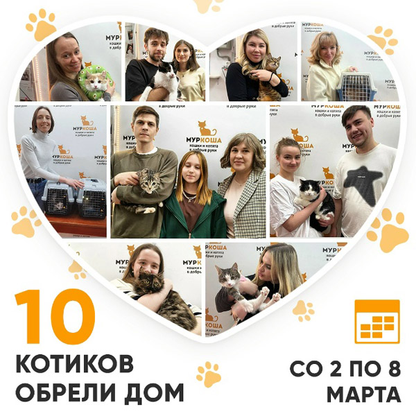 Итоги работы Центра со 2 по 8 марта 2026г.