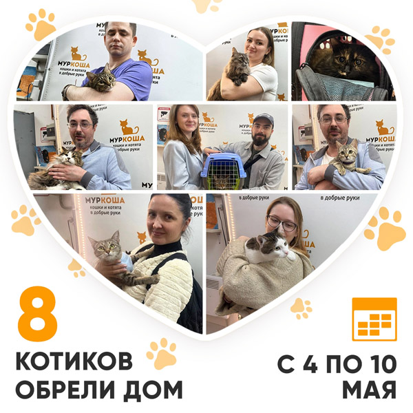 Итоги работы Центра с 4 по 10 мая 2026г.