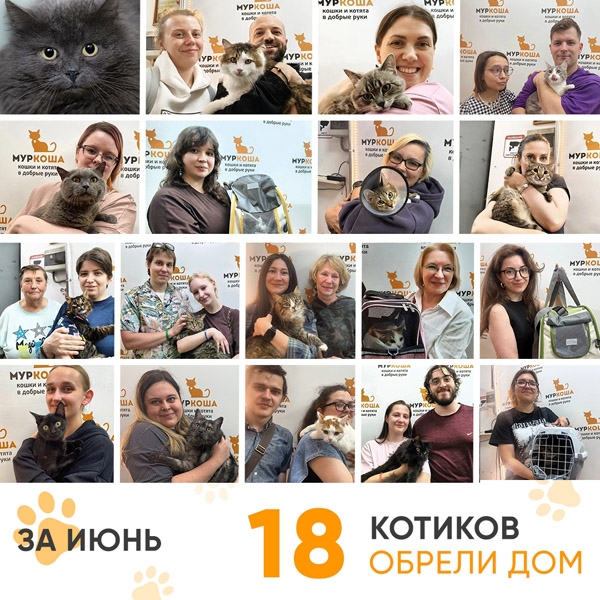 Итоги работы Центра в июне 2026 года. 