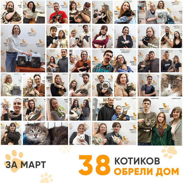Итоги работы Центра в марте 2026 года. 