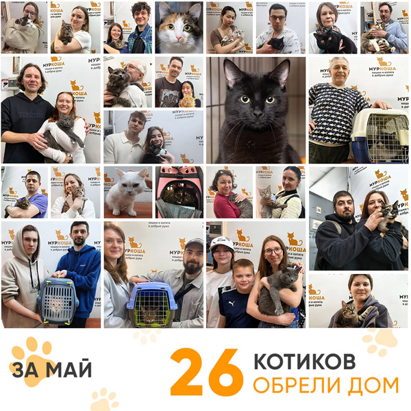 Итоги работы Центра в мае 2026 года. 