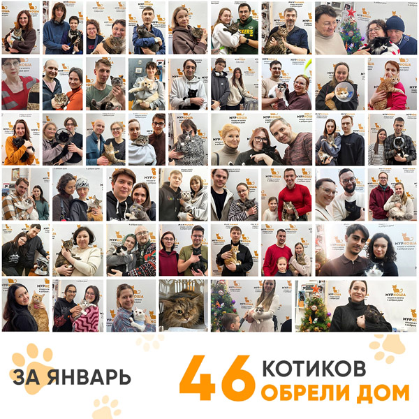 Итоги работы Центра в январе 2026 года. 