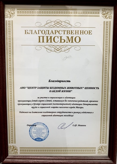 Письмо от усыновителей