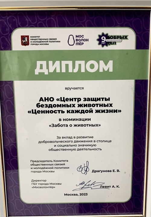 Письмо от усыновителей