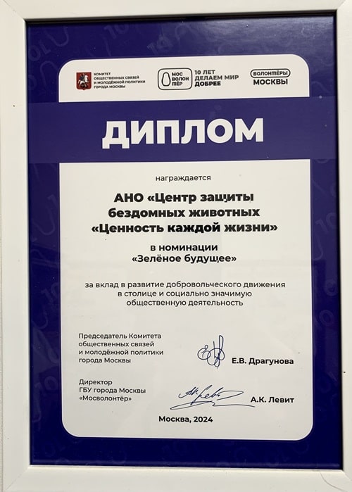 Письмо от усыновителей